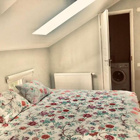 טאלין Cozy City Penthouse Apartment, Free Parking מראה חיצוני תמונה